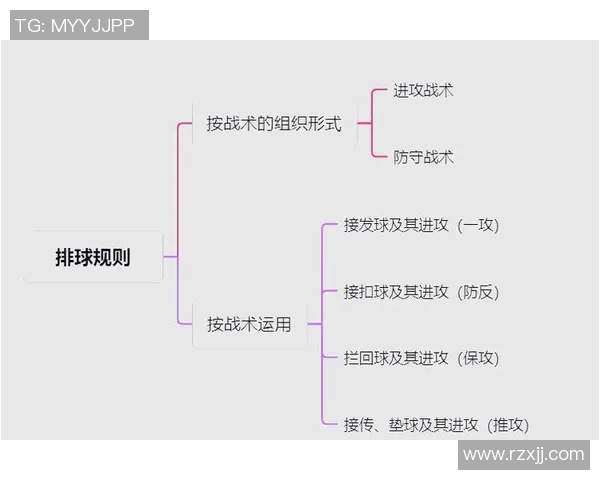 深圳排球队战术揭秘：排球巨献背后的团队智慧与竞技魅力